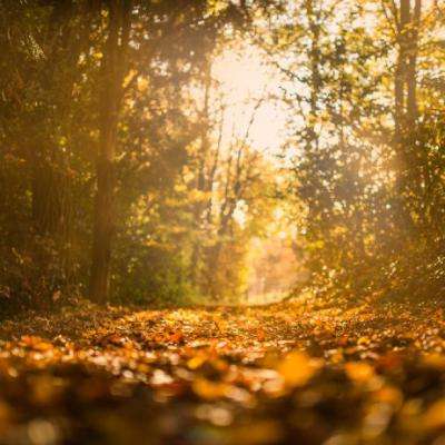 中欧体育app下载官网