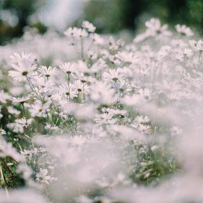 竞彩足球app官方手机app下载